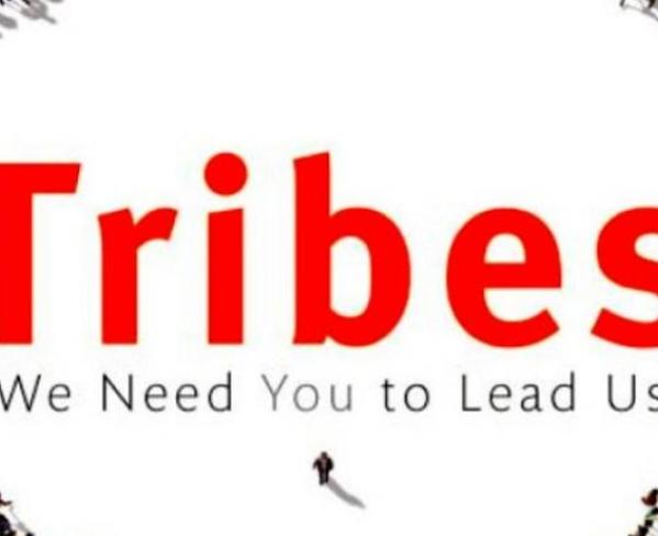 Сет Годин Tribes