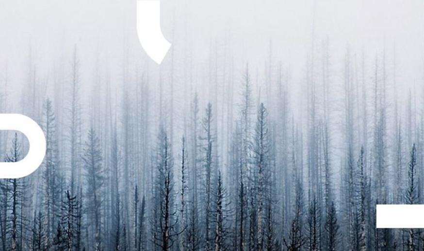 Блог Eventum Premo