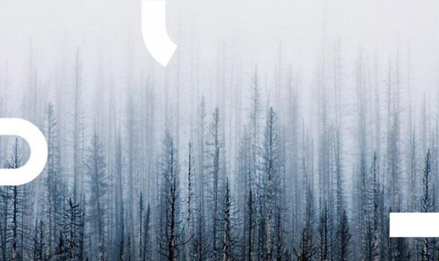 Блог Eventum Premo
