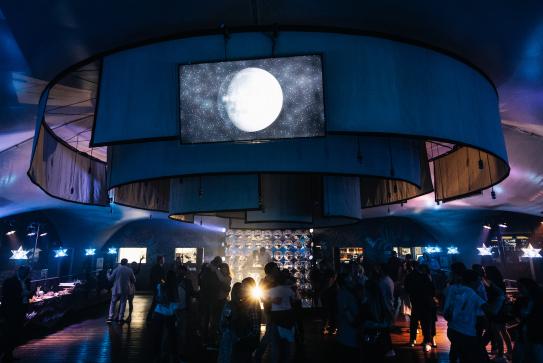QIWI Moonlight Party
